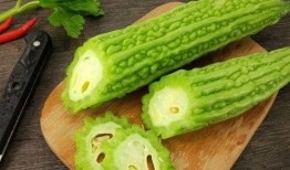 体育圈的瓜是什么意思 吃瓜每日大赛,揭秘“吃瓜每日大赛”背后的精彩故事